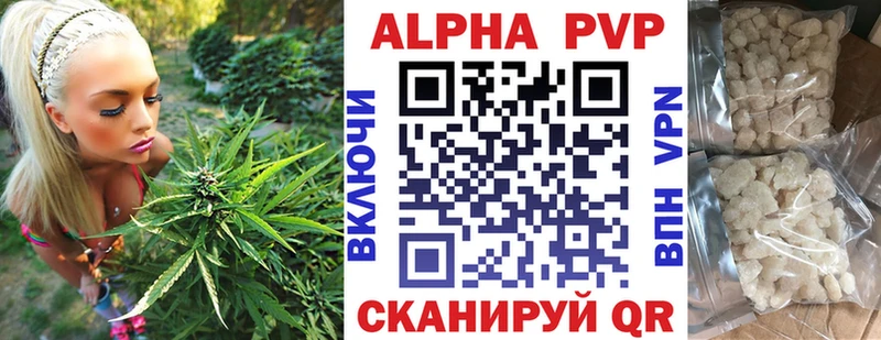 APVP VHQ  Калининград 